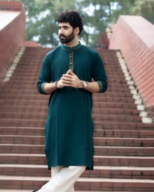 Premium Microstitch Embroidered Panjabi